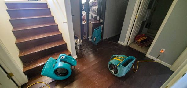 Best Commercial water damage restoration  in Lauderdale By The Sea, FL