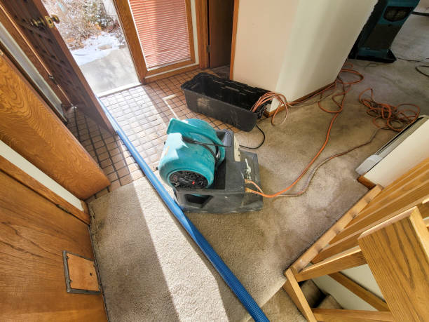 Best 24-hour water damage restoration  in Lauderdale By The Sea, FL