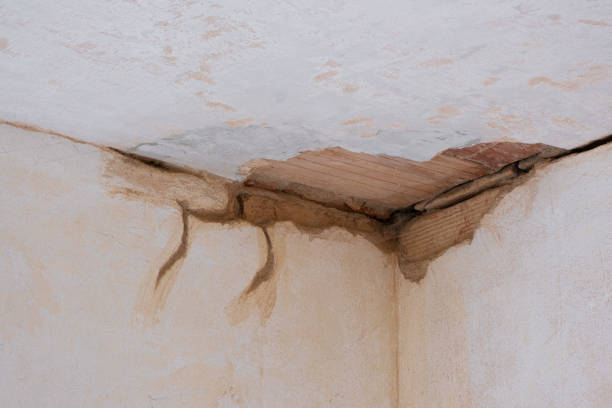 Best Water damage restoration near me  in Lauderdale By The Sea, FL