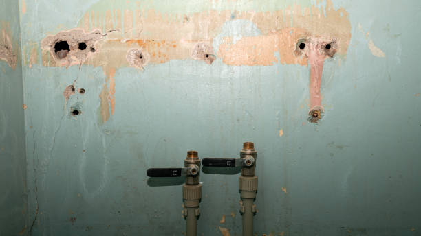 Best Water damage cleanup near me  in Lauderdale By The Sea, FL