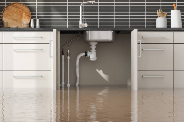 Best Water damage restoration specialists  in Lauderdale By The Sea, FL