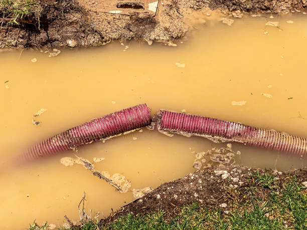 Best 24/7 water damage repair  in Lauderdale By The Sea, FL