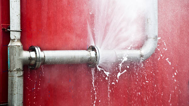 Best Local water damage restoration  in Lauderdale By The Sea, FL